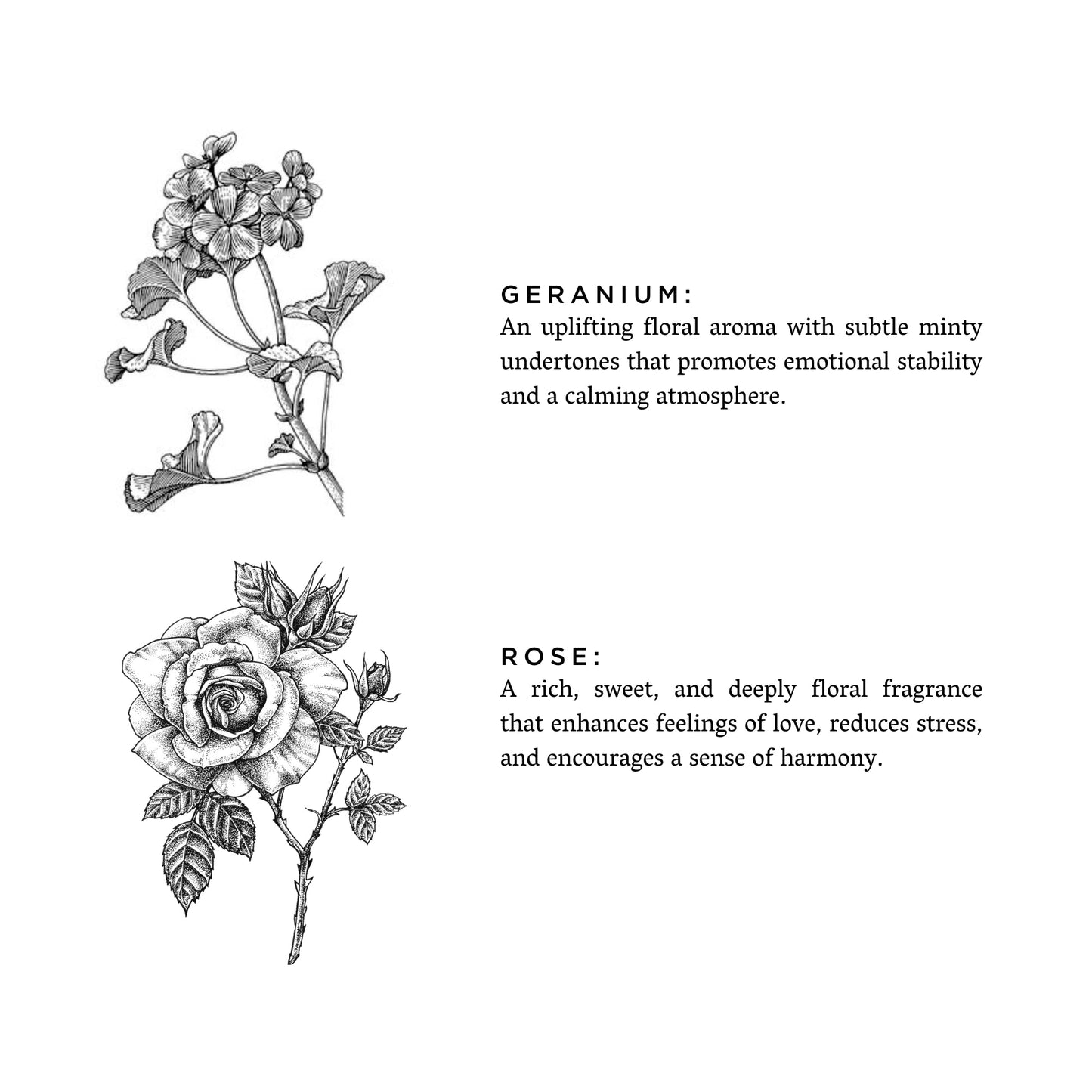 Botanical Candle: Geranium + Rose