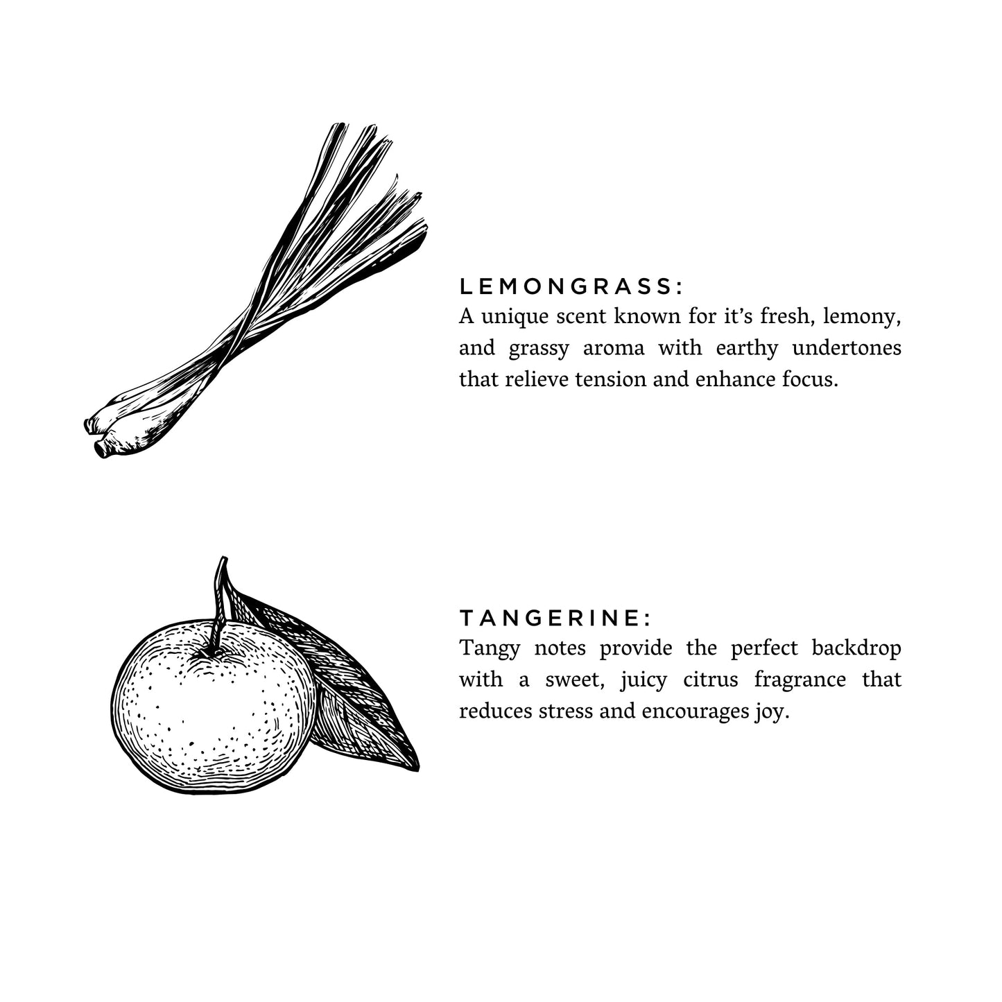 Botanical Candle: Lemongrass + Tangerine