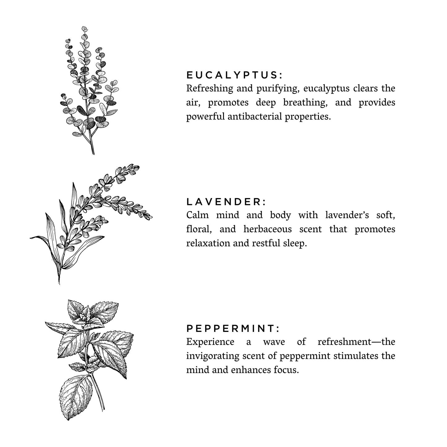 Of The Sea Botanical Candle - Eucalyptus + Lavender + Peppermint