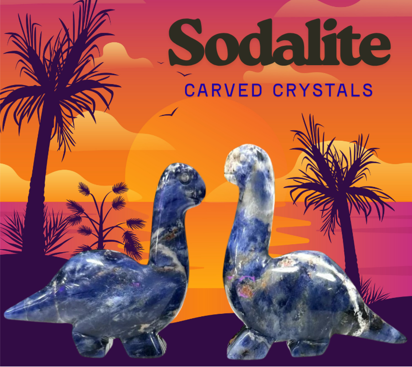 Brontosaurus, Crystal Dinosaur Sodalite Fluorite Obsidian Dinos, Amethyst Carved Crystal, Great Gift Ideas
