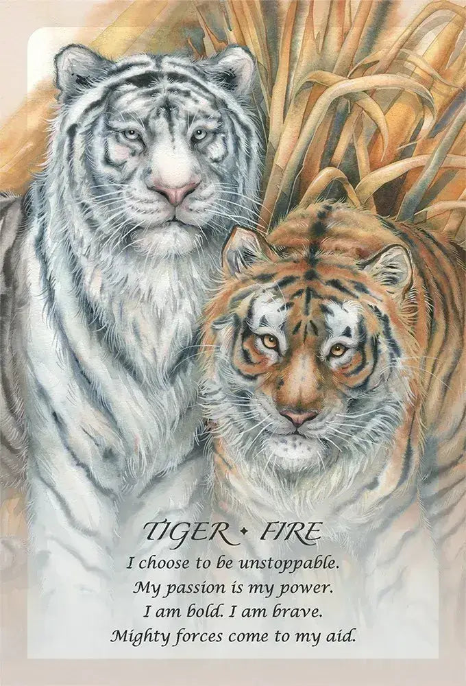 Spirit Of The Animals Oracle Card Deck