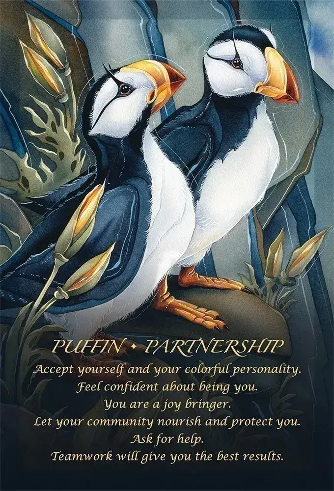 Spirit Of The Animals Oracle Card Deck