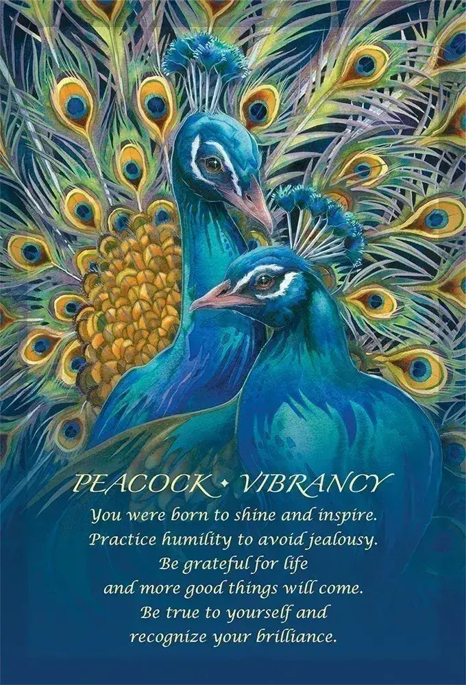 Spirit Of The Animals Oracle Card Deck