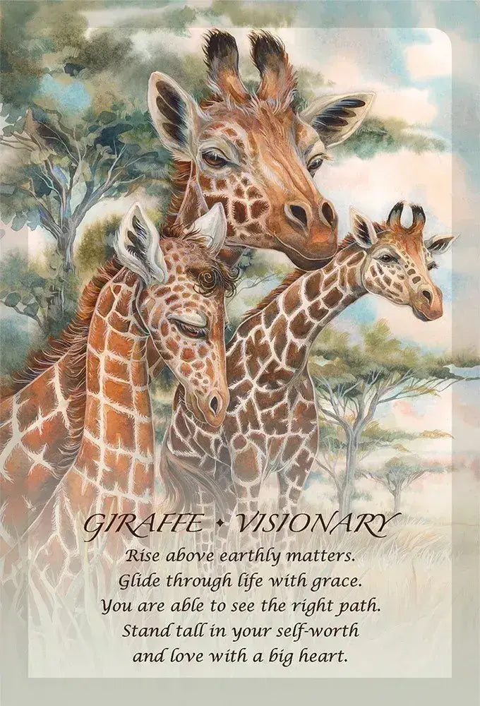 Spirit Of The Animals Oracle Card Deck
