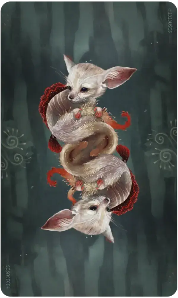 Wisdom of the Wild Things Oracle Cards & Guidebook
