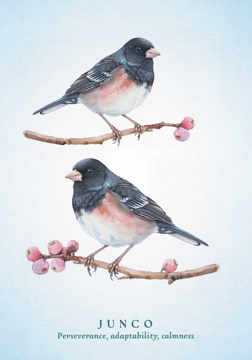The Spiritual Meaning of Birds Oracle Deck: Discover the Wisdom & Insight of These Divine Winged Messengers