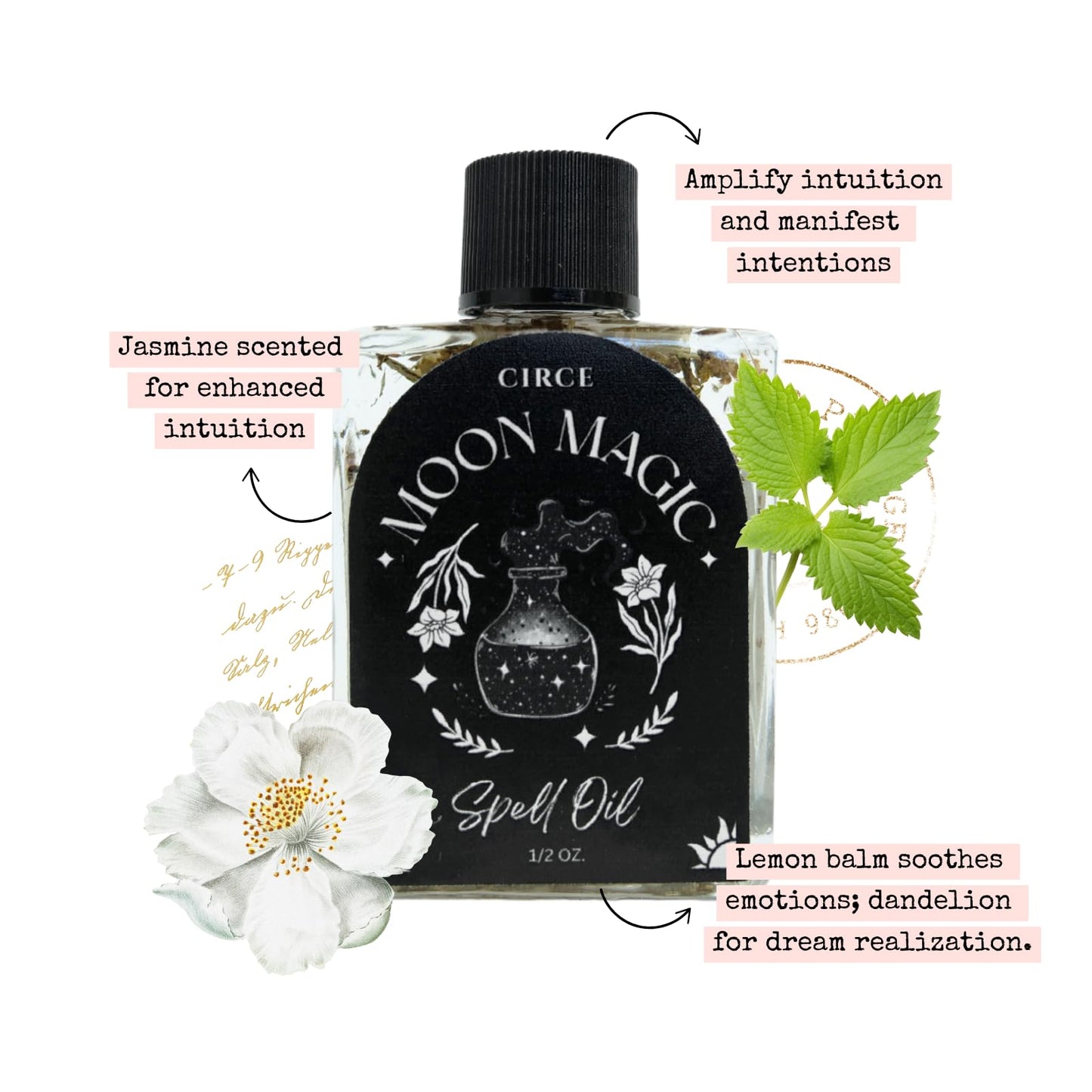 CIRCE Evil Eye Protection Spell Oil - Energy Protection & Defensive Layer - Add to Bath, Use in Rituals, Wear as Fragrance to Align w/Desires- Coconut Oil, Rosemary, Rue, and Hyssop. - 1/2oz