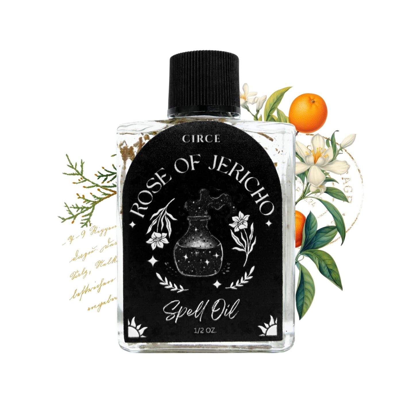 CIRCE Evil Eye Protection Spell Oil - Energy Protection & Defensive Layer - Add to Bath, Use in Rituals, Wear as Fragrance to Align w/Desires- Coconut Oil, Rosemary, Rue, and Hyssop. - 1/2oz