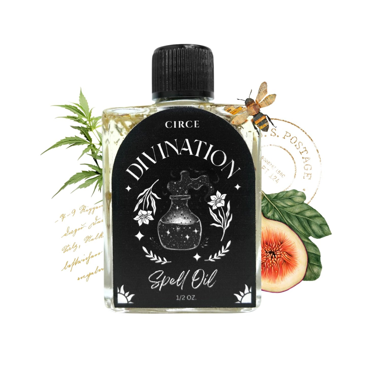 CIRCE Evil Eye Protection Spell Oil - Energy Protection & Defensive Layer - Add to Bath, Use in Rituals, Wear as Fragrance to Align w/Desires- Coconut Oil, Rosemary, Rue, and Hyssop. - 1/2oz