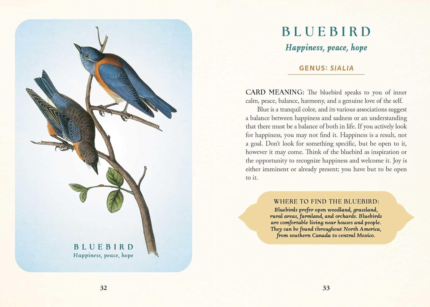 The Spiritual Meaning of Birds Oracle Deck: Discover the Wisdom & Insight of These Divine Winged Messengers