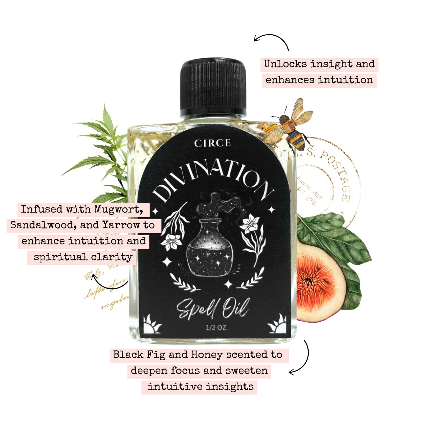 CIRCE Evil Eye Protection Spell Oil - Energy Protection & Defensive Layer - Add to Bath, Use in Rituals, Wear as Fragrance to Align w/Desires- Coconut Oil, Rosemary, Rue, and Hyssop. - 1/2oz