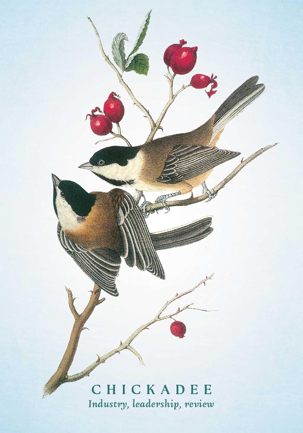 The Spiritual Meaning of Birds Oracle Deck: Discover the Wisdom & Insight of These Divine Winged Messengers