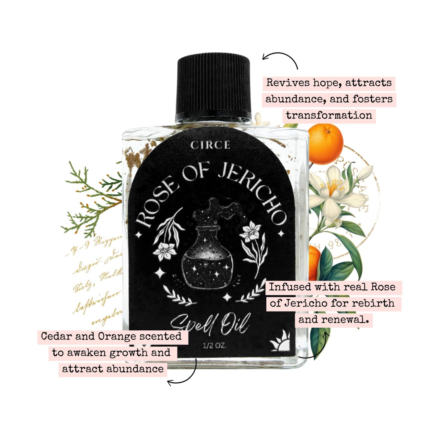 CIRCE Evil Eye Protection Spell Oil - Energy Protection & Defensive Layer - Add to Bath, Use in Rituals, Wear as Fragrance to Align w/Desires- Coconut Oil, Rosemary, Rue, and Hyssop. - 1/2oz