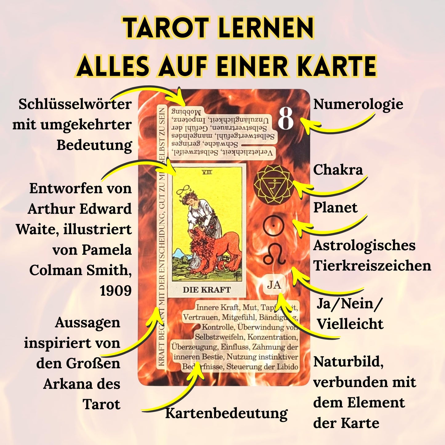 Witchy Cauldron Tarot Cards for Beginners with Meanings on Each Card — 78 Card Learning Tarot Deck with Guidebook, Reversed Meanings, Chakra, Zodiac & Planetary Symbols | Rider-Waite Style (English)