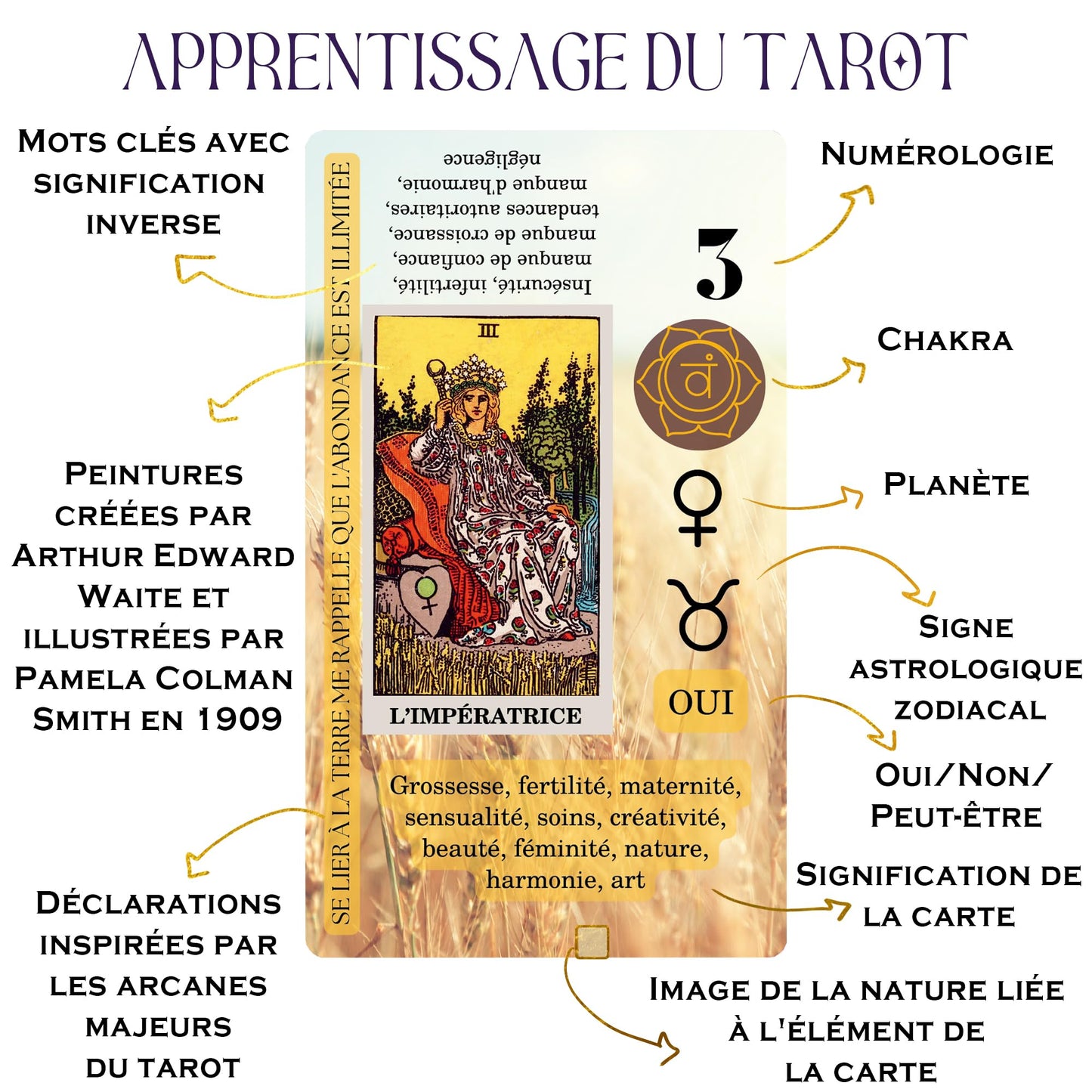 Witchy Cauldron Tarot Cards for Beginners with Meanings on Each Card — 78 Card Learning Tarot Deck with Guidebook, Reversed Meanings, Chakra, Zodiac & Planetary Symbols | Rider-Waite Style (English)