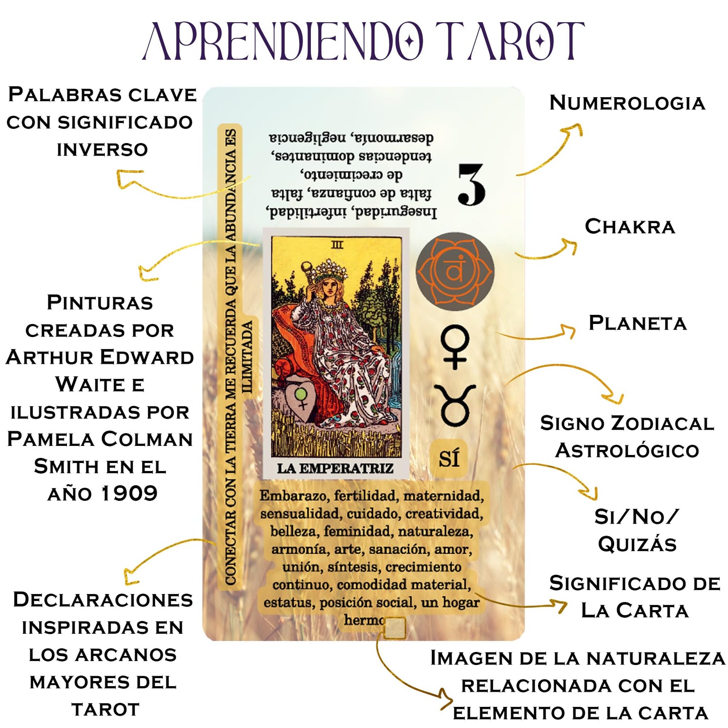 Witchy Cauldron Tarot Cards for Beginners with Meanings on Each Card — 78 Card Learning Tarot Deck with Guidebook, Reversed Meanings, Chakra, Zodiac & Planetary Symbols | Rider-Waite Style (English)