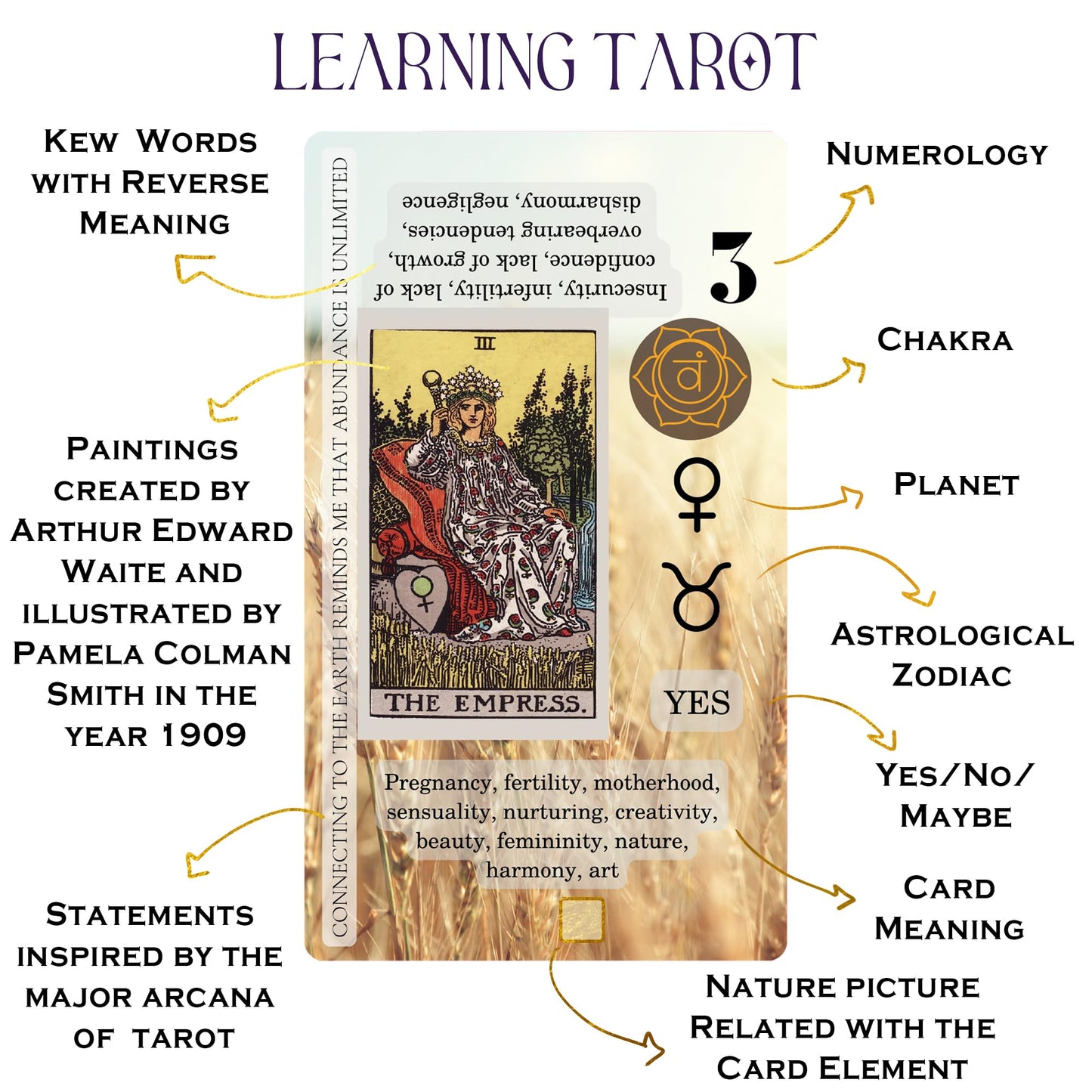 Witchy Cauldron Tarot Learning Set for Beginners: Learning Cards for Beginners, Satin Deck Holder and Journal for with Raider Waite (Blue)