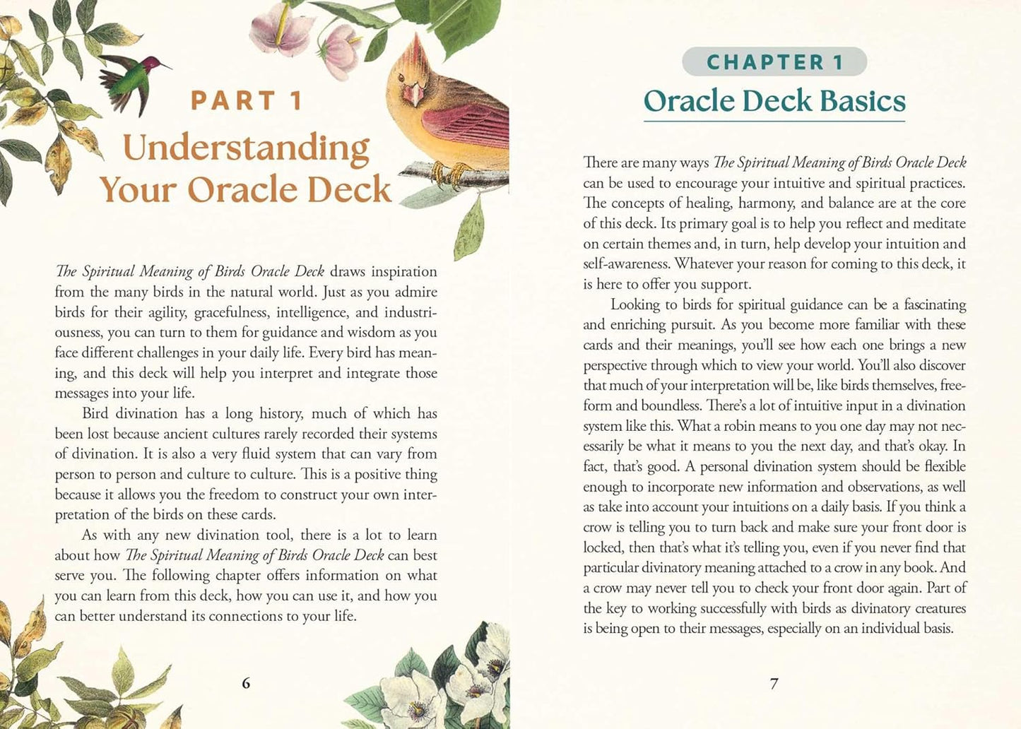 The Spiritual Meaning of Birds Oracle Deck: Discover the Wisdom & Insight of These Divine Winged Messengers