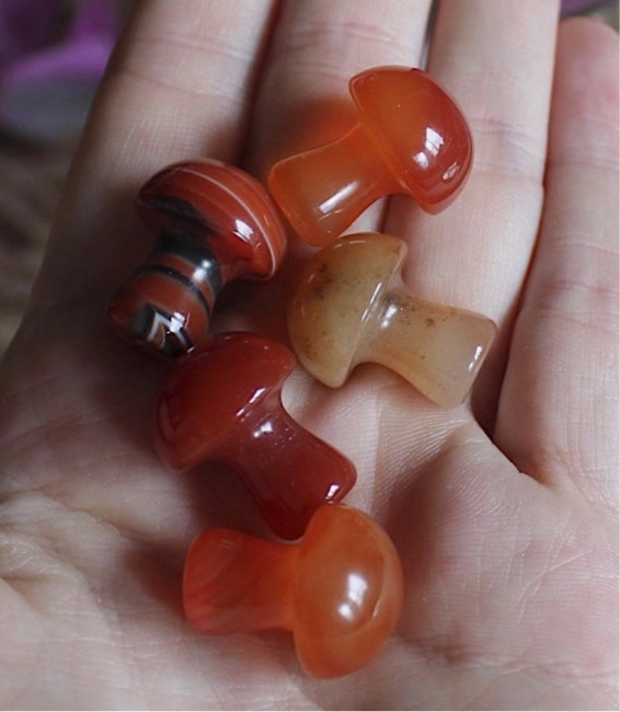 Mini Crystal Mushrooms, Carnelian