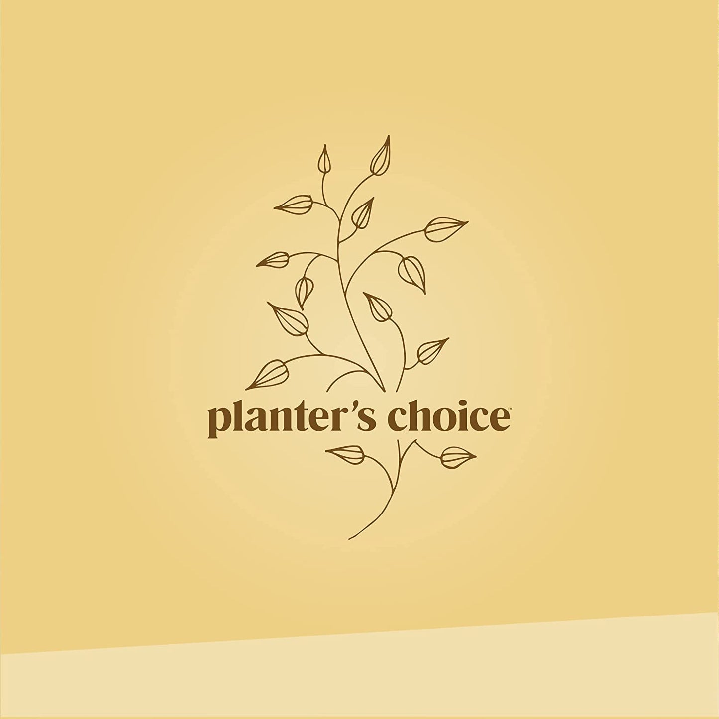 Planter's Choice - Herb Growing Kit