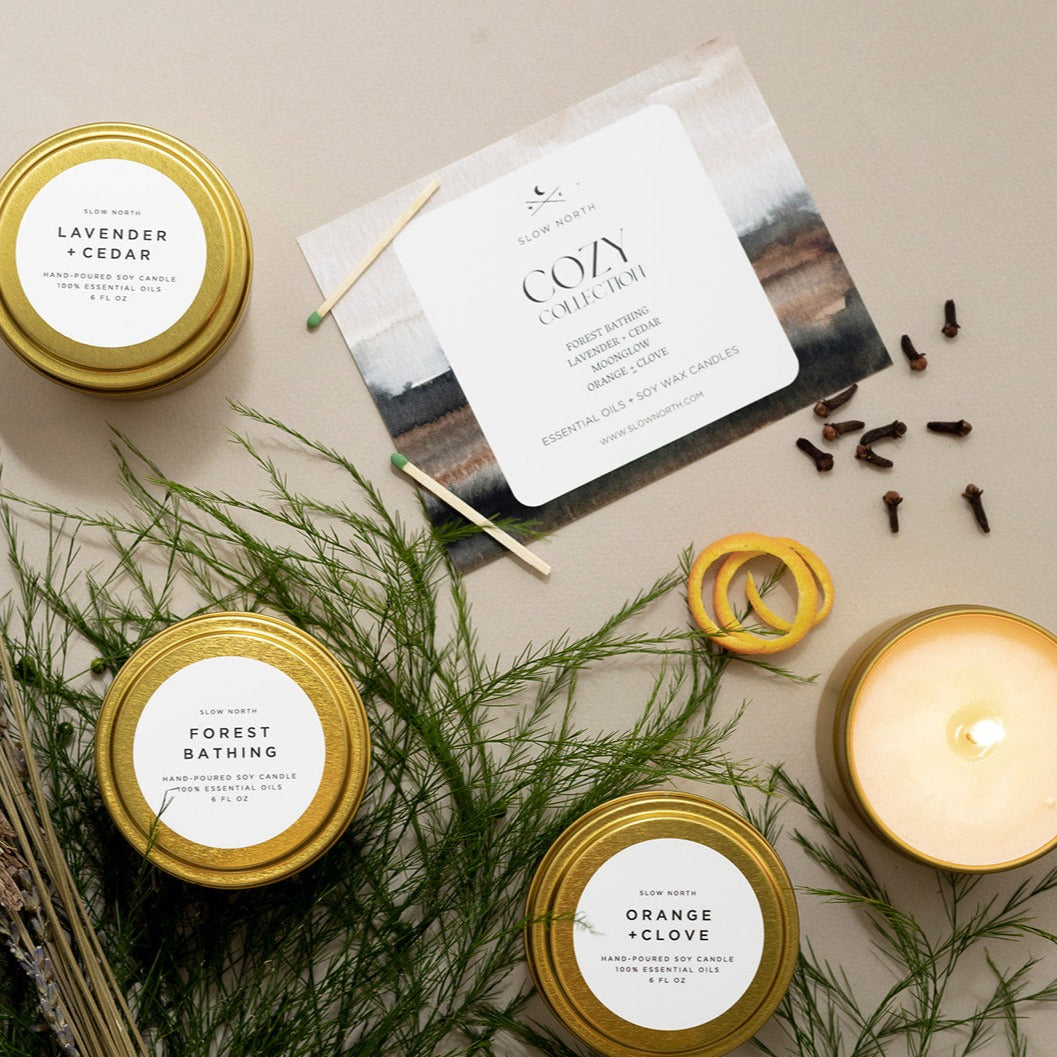 Botanical Candles Cozy Collection - 4 Pack gift bundle