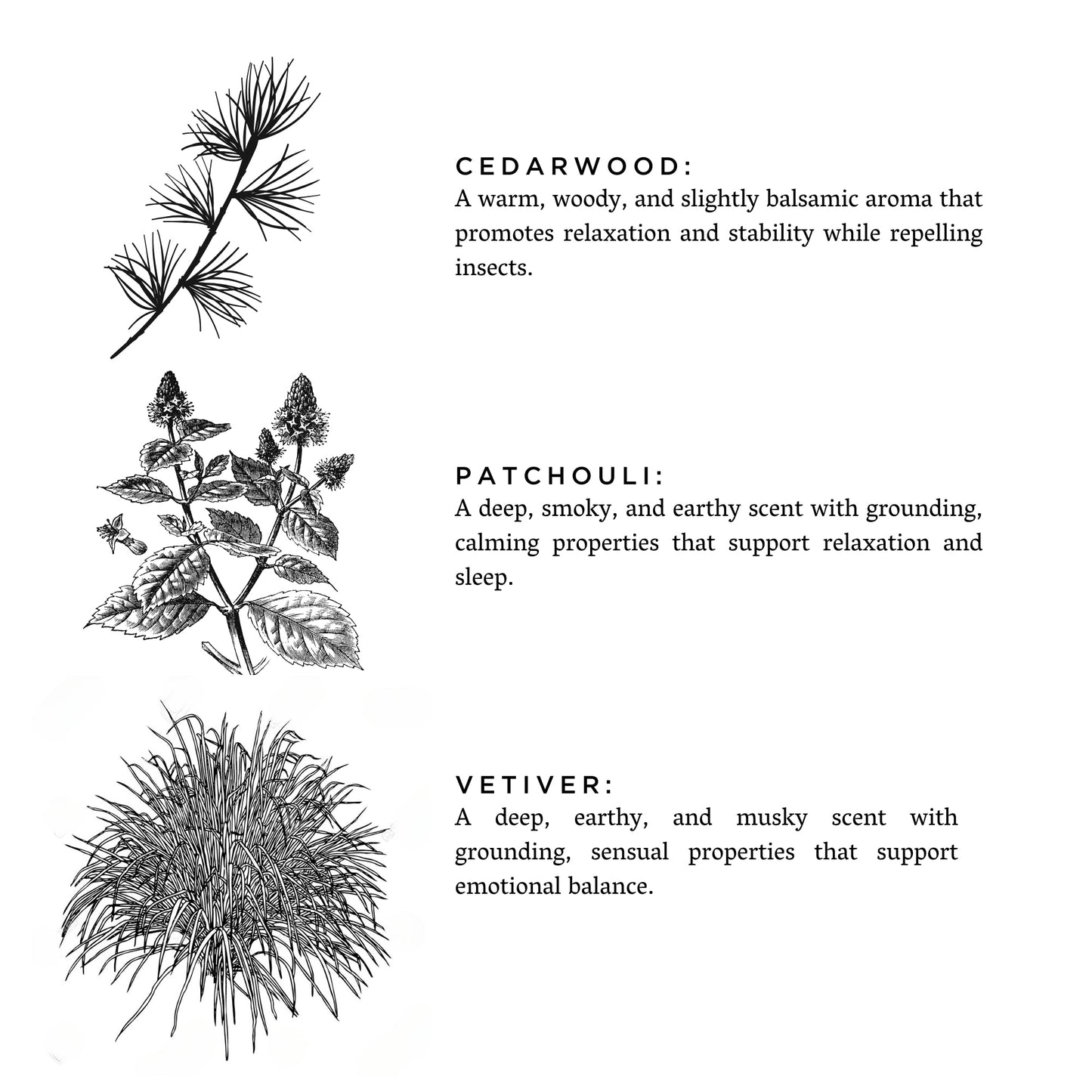 Earthy Essence Candle Embers + Leather - Vetiver + Cedar + Patchouli