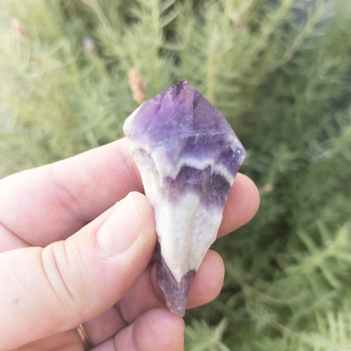 Gorgeous Chevron Amethyst Points