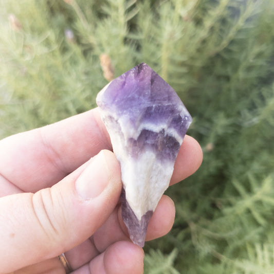 Gorgeous Chevron Amethyst Points