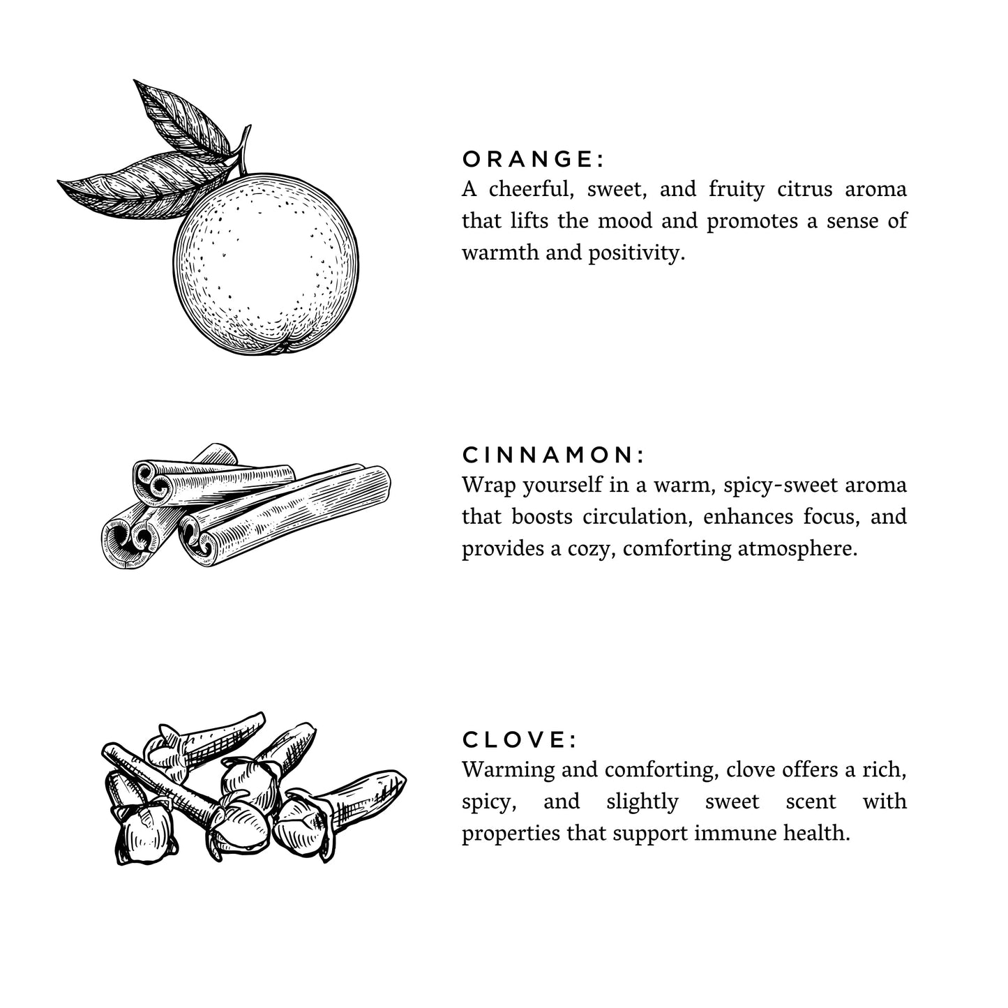 Botanical Candle: Orange + Clove