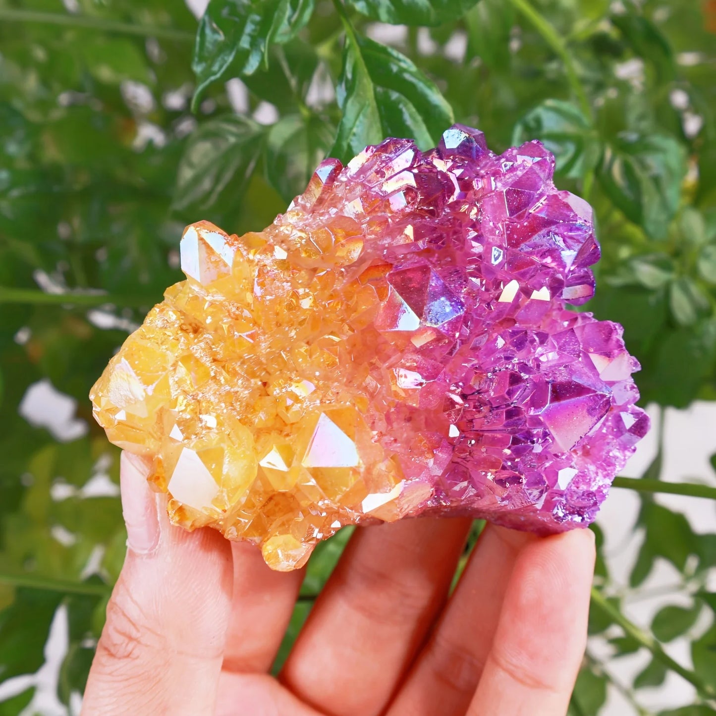 1pc Angel Halo Crystal Cluster - Amethyst, Titanium Rainbow Limeria Tip, for decorative purposes, desktop accessories.