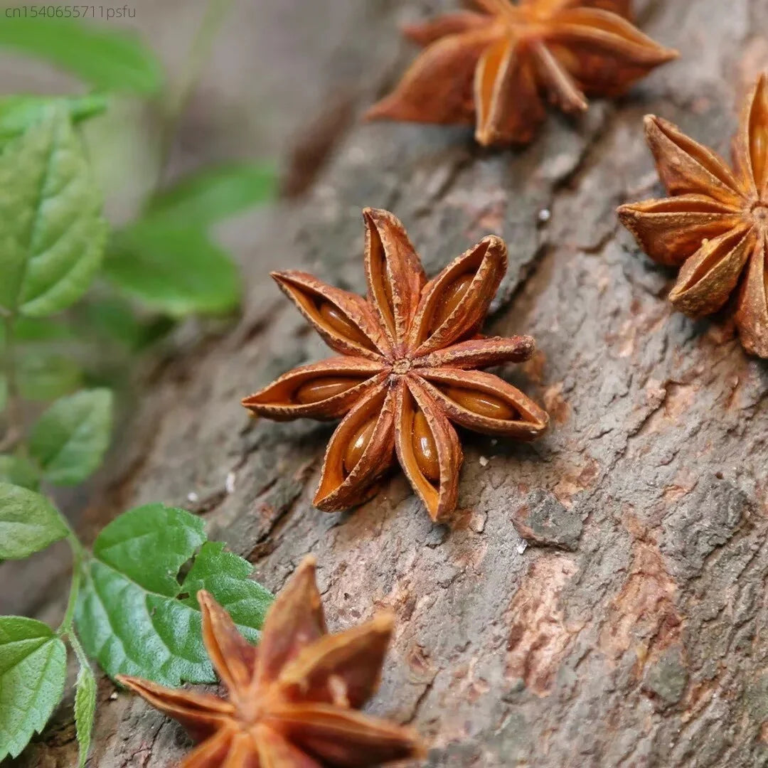 Premium Cinnamon Sticks & Star Anise Set – Ritual Herbs for Candles, Spellwork, Aromatherapy & Witchy Home Decor