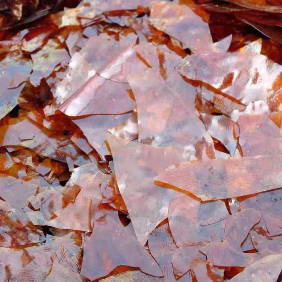 Natural Shellac Flakes For Wooden Used For Brushing Wood Veneer Repair Wooden Furniture Polishing