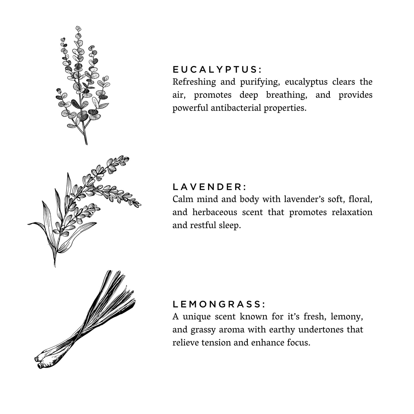 Botanical Candle: Shangri-La (Eucalyptus + Lavender + Lemongrass)
