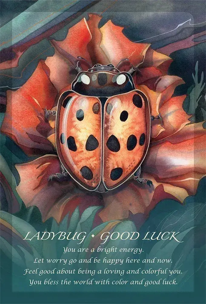 Spirit Of The Animals Oracle Card Deck