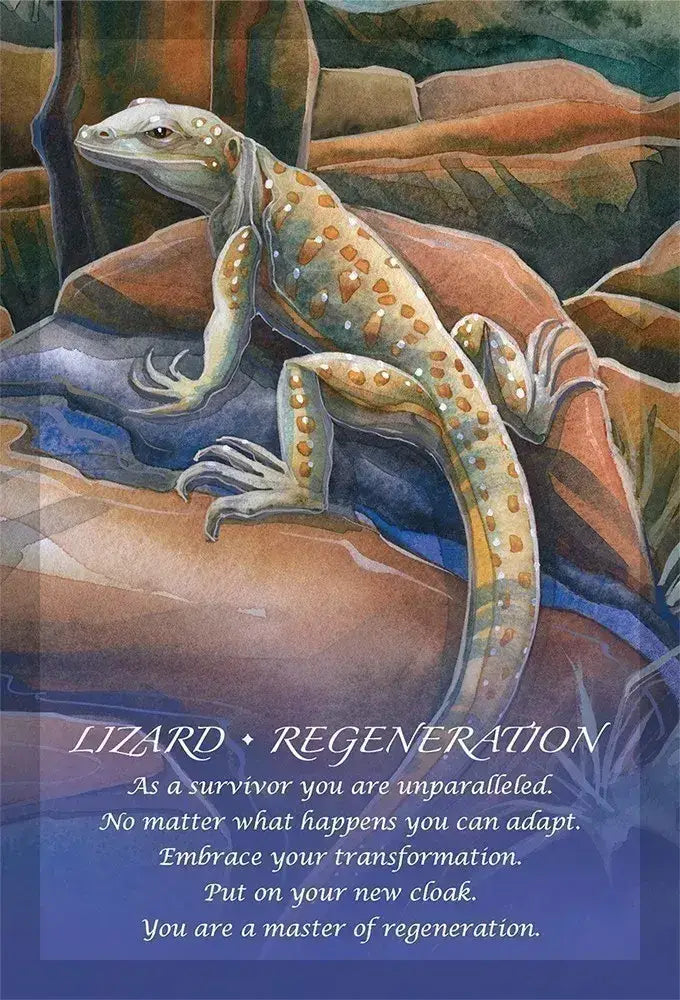 Spirit Of The Animals Oracle Card Deck