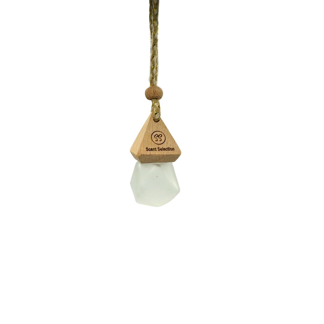 Goji Berry & Blood Orange Hanging Car Air Freshener Diffuser - 3 Colours
