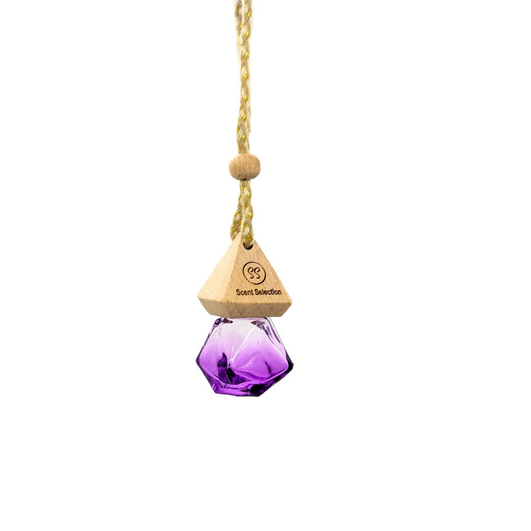 Wilde Enchantment Hanging Car Air Freshener Diffuser - 3 Colours